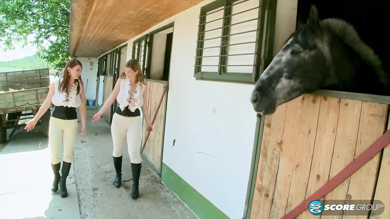 Học viện cưỡi ngựa vú to