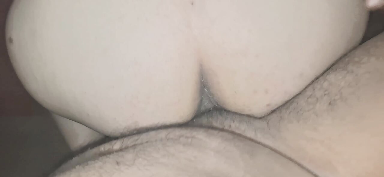 of a puppy