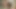 Porn Star Interviews (no sex, no nudity)