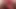 Femboy penetrated with double dildo in doggystyle – 45cm
