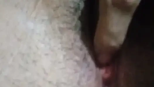 Yakın çekim amcık
