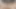 Ders çalışmam gerekiyordu ama tüm öğleden sonra sikildim