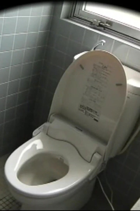 Stuck up Older Women - Toilet Masturbation Collection of 25 - Ep10