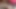 小柄な彼女をキッチェブ冷凍庫とドアの上でセックスして、彼女が潮を吹くまで