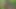 POV Hardcore Anal Sex In Forest