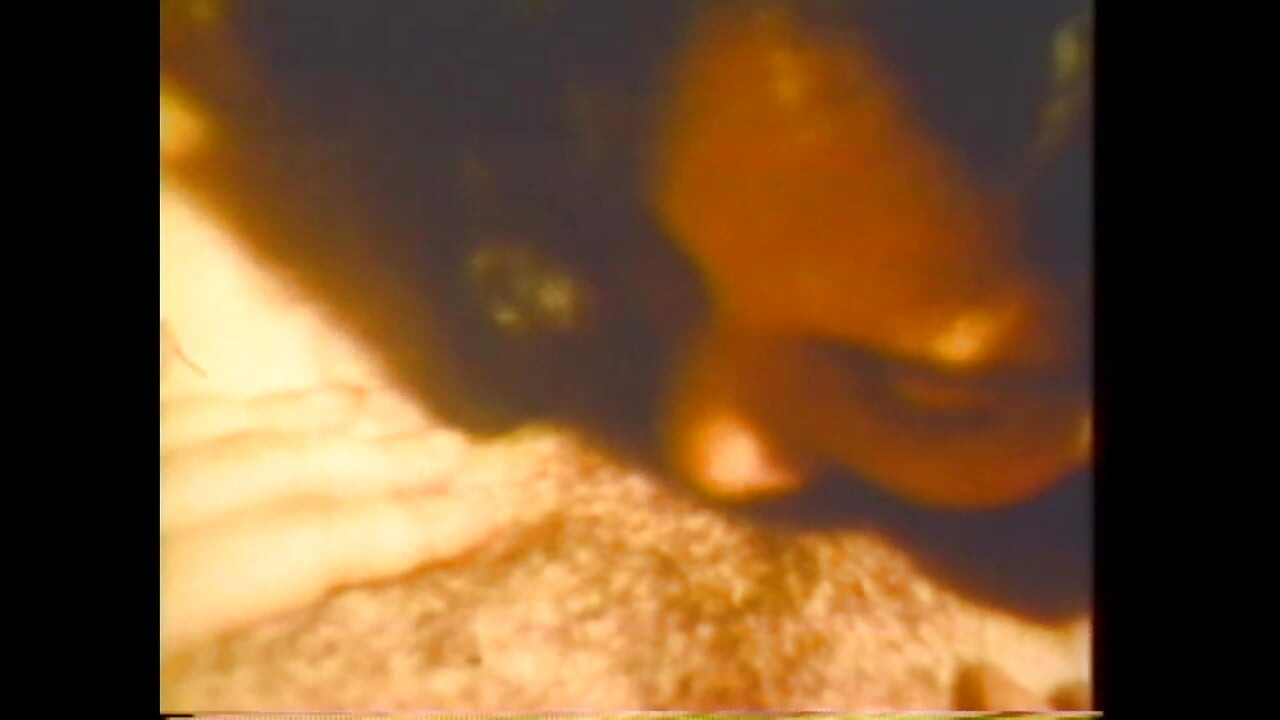 Polla Grande Y Gorda