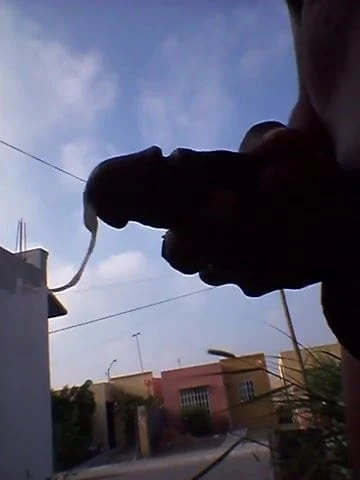 en un casa baldia