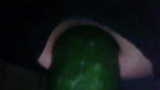 devorando pepino anal