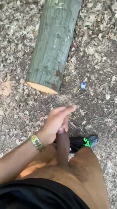 Quick flash in the woods