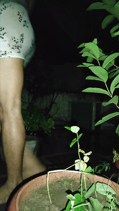 Booty spotted roaming in the garden at midnight