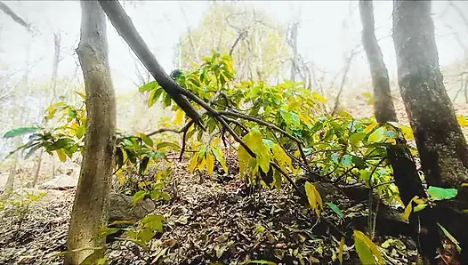 Aku senang membawa pacarku ke hutan dan menidurinya.