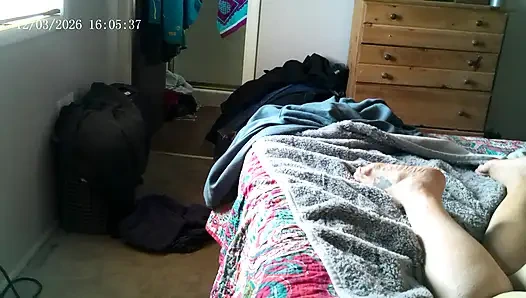 Dogging the Kitten