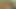 Pierced german honey fuck a green dildo