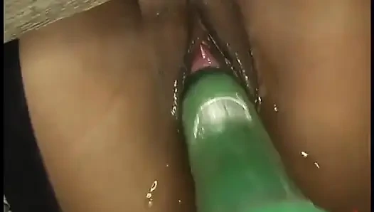 Dragonlily ve Chynawhite