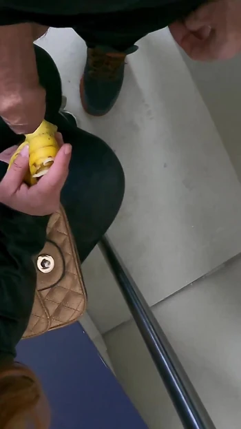Dick Flash in Train