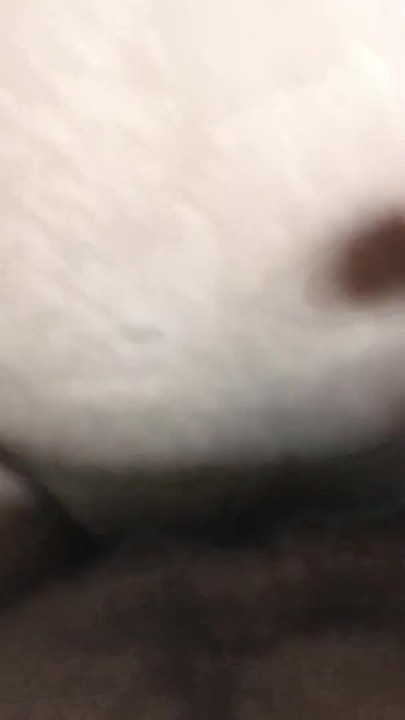 Epic moment from "Indian 18 Year old Girl fucked hard in doggystyle."