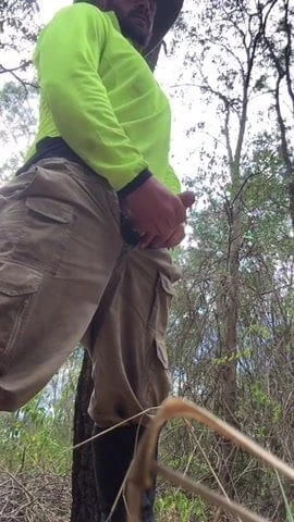 a bear cum in the woods
