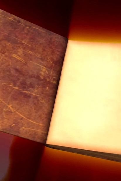 Domina and Her Bondage Sex Slaves Pussy Clips and Ball Busting