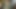 Kerrino prvo Grindr jebanje (festivalsko izdanje)