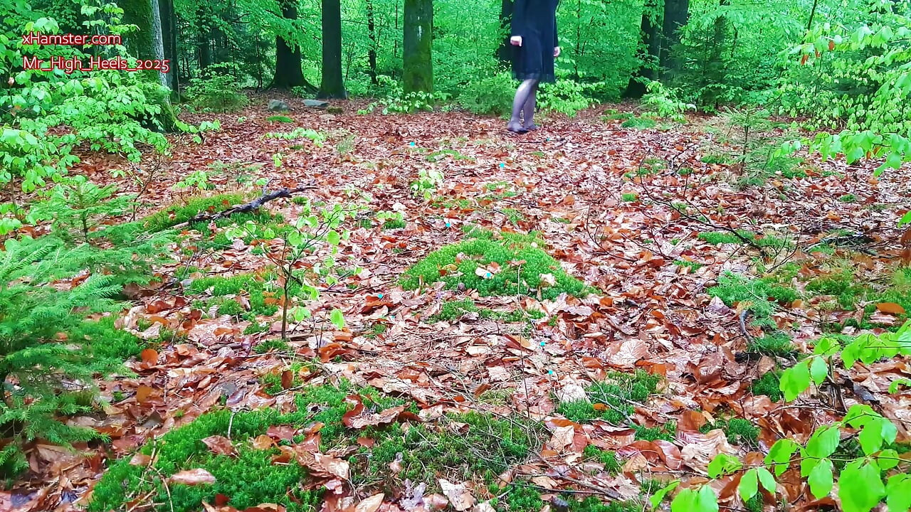 Nylon voeten in het bos