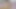 Poilluuu – An Unusual Title for an Article on Cute Kittens