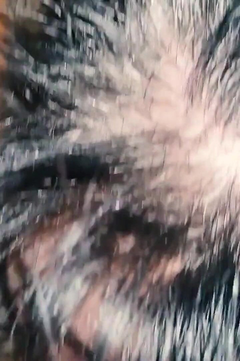 Pure Dicksucking Swallow