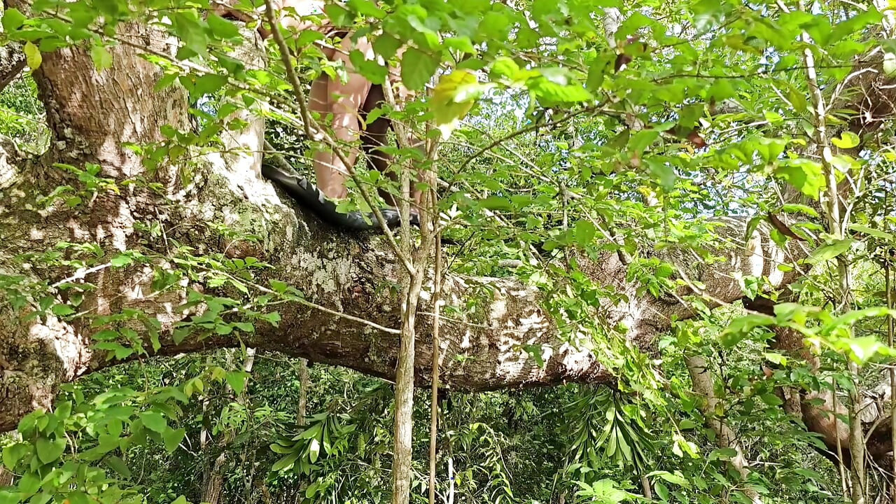 FRIEND I CAUGHT IT IN THE FOREST AND I PUT MY COCK VERY HARD GIVING A SIP INSIDE MY ASS