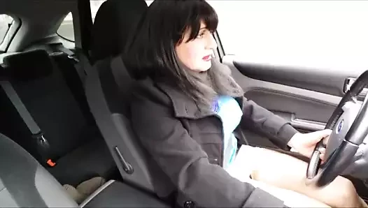 chatte a l air au volant