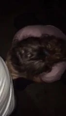 Dirtygirl614 sucks cock and take a stranger bareback