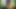 This is a romantic journey from the time my friend and I left the house and went to the corn field. This is a funny story -Hindi