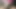 college student desi village love affair just