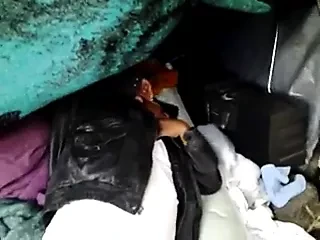 CHACAL DORMIDO!!!!