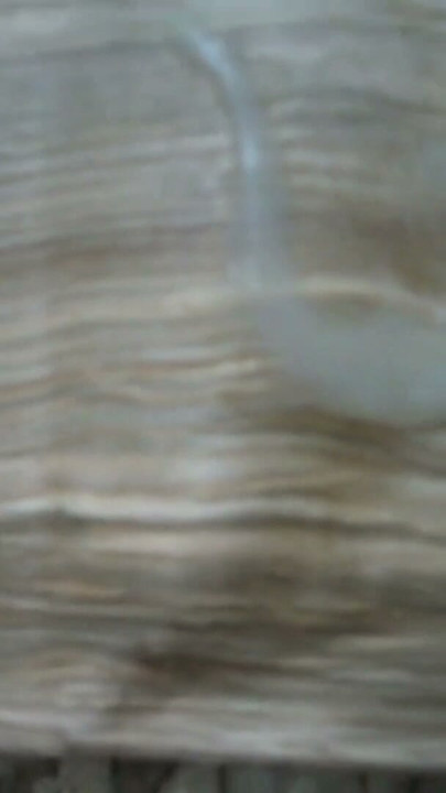 Cumshot and licking up Sperm | Clip 2