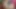 Puremature Asyalı orta yaşlı seksi kadın kendini yalnız hissediyor