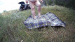Pregled videozapisa