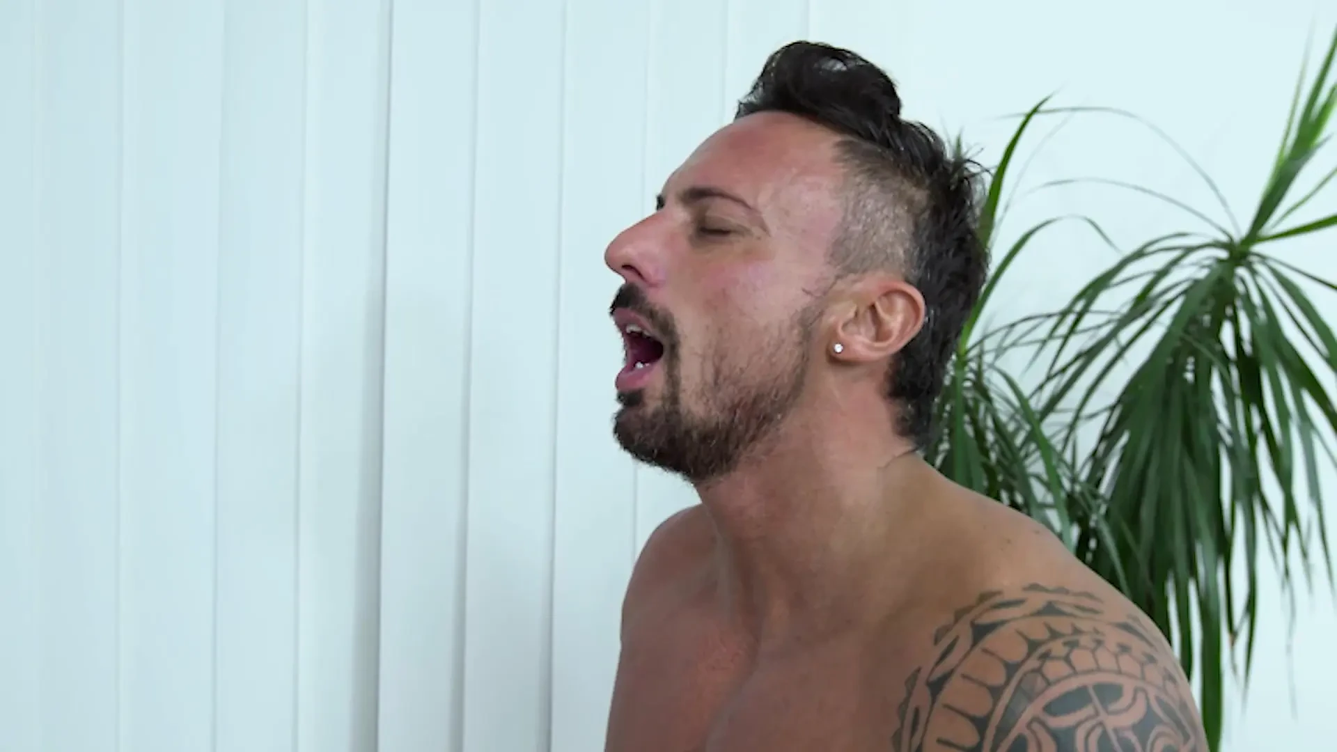 Three horny hard cocks for Eveline Dellai