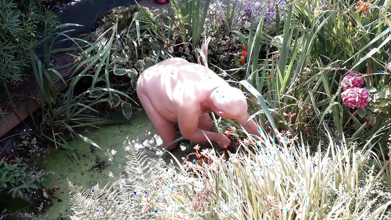 The life of a naked handyman, called next door to clean out the pond