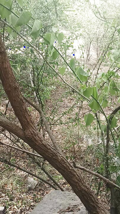 Mother in law watching me in forest in 1 second
