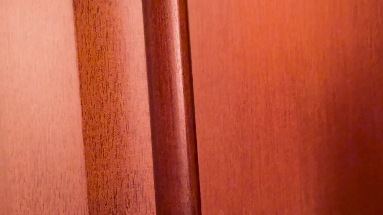 A nova colega de quarto duro O JOVEM ESTUDANTE NO ERASMUS