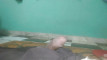 Video ön izlemesi