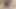 Indische behaarte Masturbation