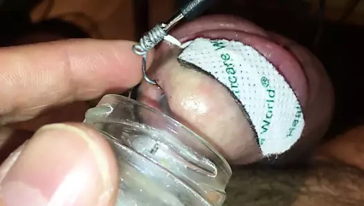Ağır elektro işkence horozdan meni çıkarmak