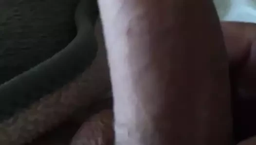 mi polla