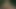 Cc eski kuş lekelenmesi