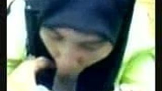 Maldivian lady sucking her boss's dick