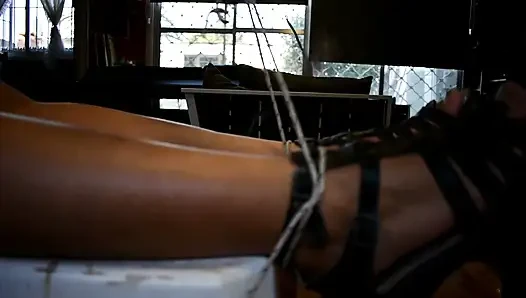 Ayaklar tayt ve göbek gıdıklama hakimiyeti - tavşan looner