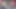 İki minyon kız fantezi oyuncakları ve çift dildo ile fışkırtıyor