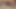 Shirley In Chat #2  - May 2018