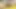 Close-up of a beautiful masturbation of my big before sending everything into your mouth