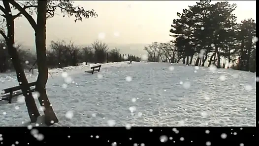 Memek tante seksi ini dientot habis-habisan sama kontol besar sampai dicrot di dalam